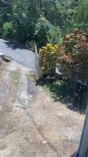 a fence on the side of a road with flowers at Beach View in Corinthe