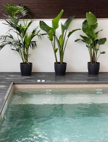 two potted plants sitting next to a swimming pool at Rafia Loft Loutraki - Heated Pool & Billiard I Beach in Loutraki