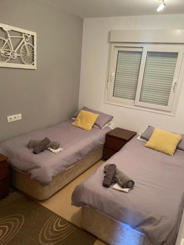 two twin beds in a room with two windows at Condado de Alhama- Casa Colby in El Romero