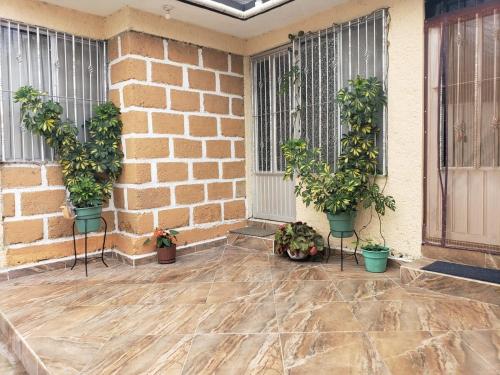 a patio with potted plants and a brick wall at Casa vista hermosa in San Juan del Río