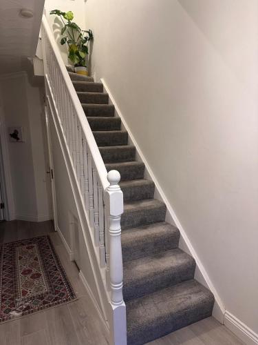 a stairway with a potted plant on top of it at Bright & Cozy Home in Knocknacarra in Galway