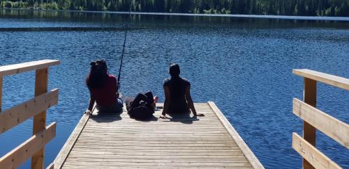 three dogs sitting on a dock on a lake at Mjøshytte in Stange