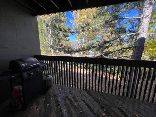 a screened in porch with a grill and a tree at Bear Paw #11139 