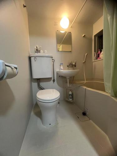 a bathroom with a toilet and a sink at 和風客棧 in Tokyo