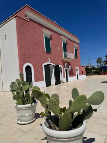two potted plants in front of a red and white building at IL CARRUBO La dimora in Monopoli