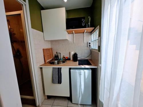 a small kitchen with a sink and a microwave at Studio Rez-de-Chausee au Coeur Auxerre in Auxerre