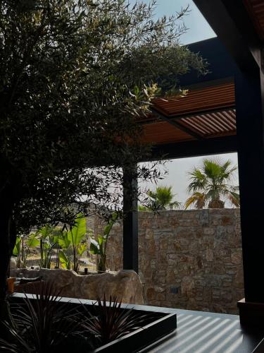 a patio with a stone wall and a tree at Ftelia Black Villas in Elia