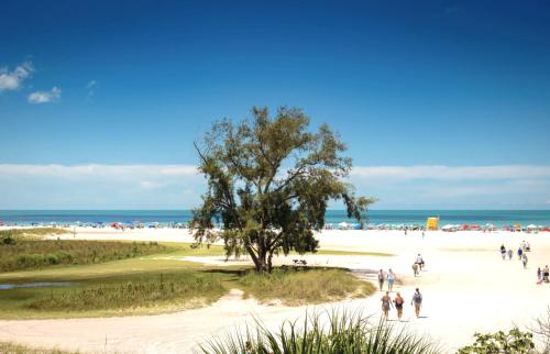 a group of people walking on a beach with a tree at New Listing! Pool Jacuzzi, 3-min to Beach Bars & Entertainment! in Siesta Key