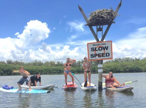 a group of people in the water on paddle boards at New Listing! Pool Jacuzzi, 3-min to Beach Bars & Entertainment! in Siesta Key