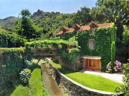 une maison recouverte de lierre vert avec une cour dans l'établissement Holiday Apartment Segura 2, à Oletta