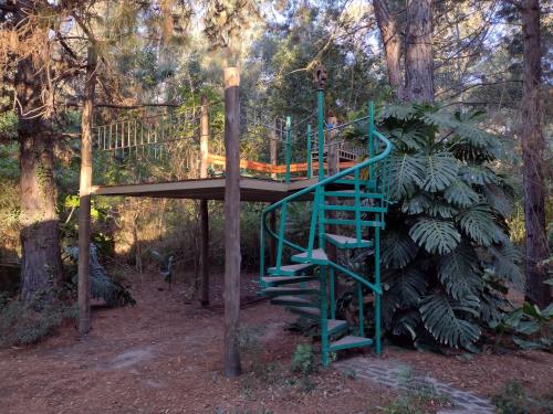 a tree house with a ladder in the woods at Sen de campo: viví la naturaleza in Colastiné