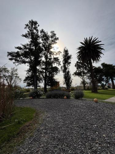 a gravel driveway with trees in the background at Cerros de Terciopelo hotel boutique in Rosario de Lerma