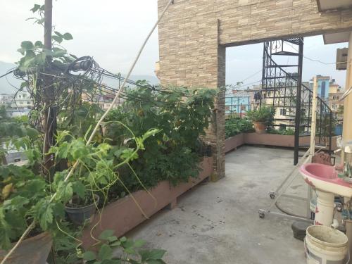 a rooftop garden with plants on a building at Aayan family home in Bākhri Kharka
