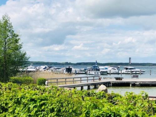 a group of boats docked at a dock on the water at Ambiente-Annabelle in Göhren-Lebbin