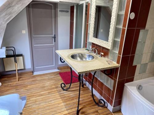 une salle de bain avec un lavabo, un miroir et une baignoire dans l'établissement Le Martin-Pêcheur Kingfishers, à Saint-Nicolas-de-Pierrepont