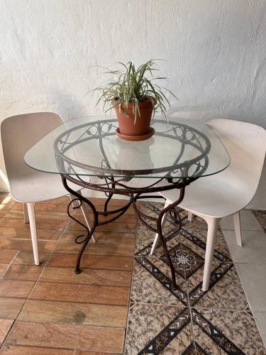 a glass table with a potted plant on top of it at Salo Casa Verde Studio in San Juan