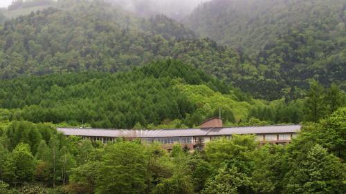 富良野富良野ホテル Furano Hotel的位于树木繁茂的山中的一栋建筑