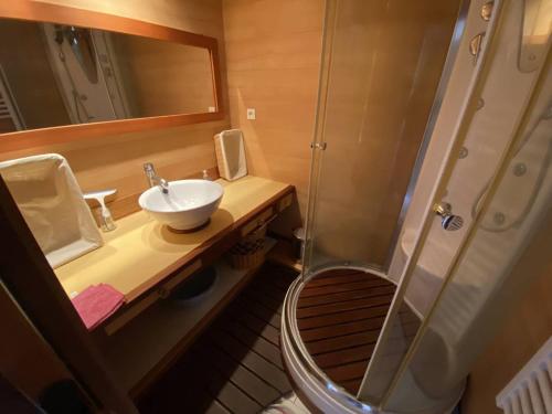 une petite salle de bain avec un lavabo et une douche dans l'établissement Appartement 2 pièces face mer avec parking - Canet-Sud - FR-1-750-120, à Canet