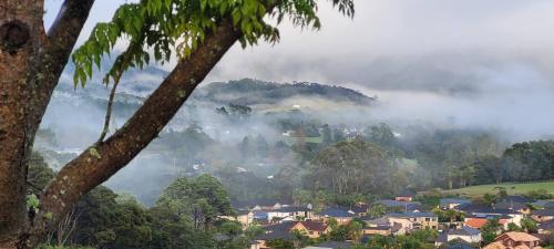 a small town in the middle of a valley with trees at Elevated Family Sized Guest-house with Beautiful Views in Auckland