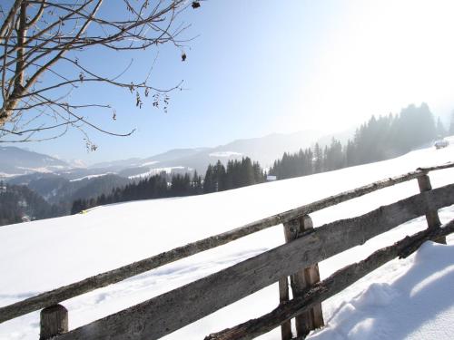 Φωτογραφία από το άλμπουμ του Apartment in Hüttau near Ski Amade Slopes, cleaning included σε Hüttau