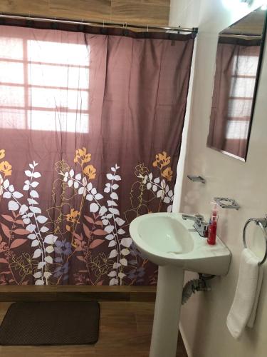 a bathroom with a sink and a shower curtain at Centro Histórico Inolvidable Puebla in Puebla