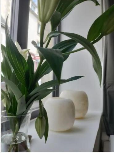 Au PIED de la MER Au COEUR de la station Beau Duplex contemporain tout confort 50m2