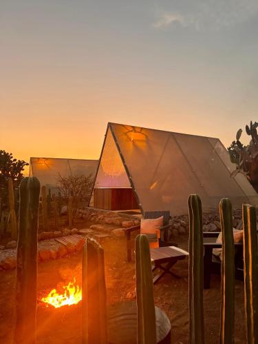 Fotografie z fotogalerie ubytování Hotel Coyote v destinaci San Miguel de Allende