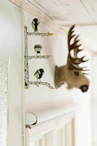 a deer head on a wall next to shelves with birds at Small Cabin With Outdoor Kitchen By Forest Stream in Trollhättan