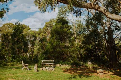 a park with a wooden bench in the grass at The Clearing by Tiny Away in Bungonia