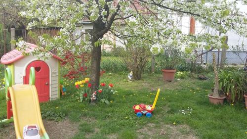 Zahrada ubytování Álom Kuckó Apartman