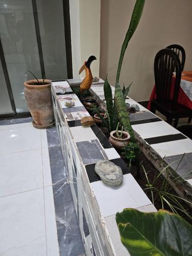 a long table with plants and rocks on it at Big Tusks Hotel, Marsabit in Marsabit