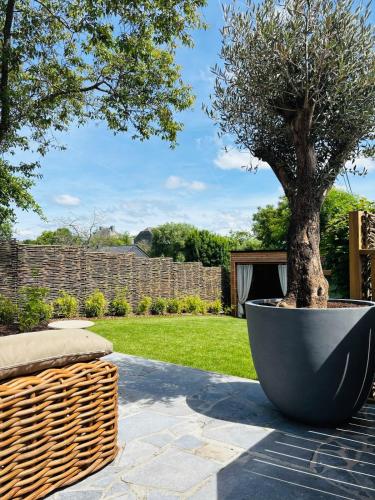 a tree in a large pot next to a garden at Au ptit Gaston in Durbuy