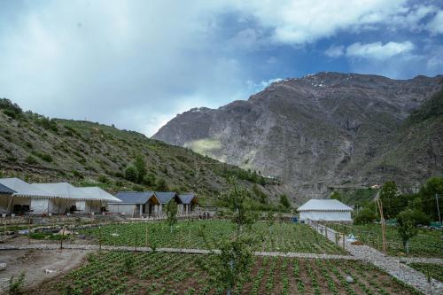 Afbeelding uit fotogalerij van Camp The Sanga Manali in Tāndi