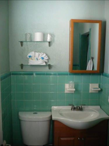 a bathroom with a sink and a mirror and a toilet at Twin Palms Motel in Titusville