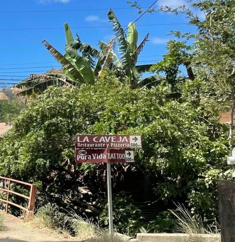 a street sign in front of a bush at Marina Loft in Coco