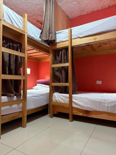 two bunk beds in a room with red walls at Hostal el Alebrije in Valle de Bravo
