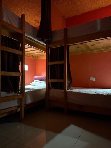 two bunk beds are in a room with orange walls at Hostal el Alebrije in Valle de Bravo