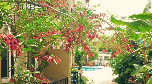 a garden with red flowers and a swimming pool at Dove Apart Hotel in Fethiye