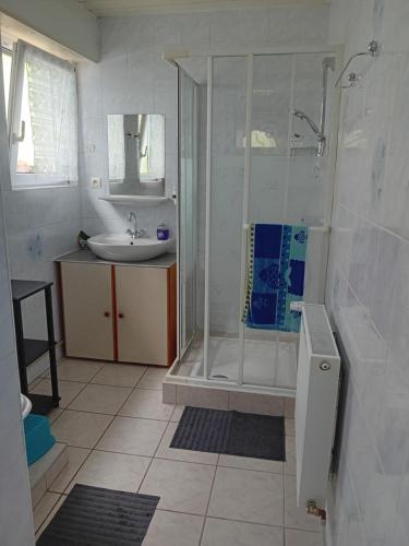 une salle de bain avec douche et lavabo dans l'établissement Maison au coeur du village, à Dorlisheim