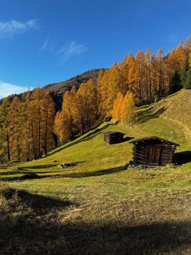 an old cabin on a hill in a field at Stubainest Schmidt Ferienwohnung in Fulpmes