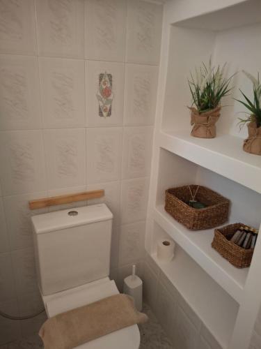 a bathroom with a toilet and shelves with plants at Anemomilos Beach hotel in Agia Anna Naxos