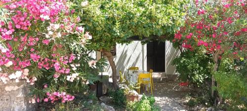 Apartments Oleander and Glicinija