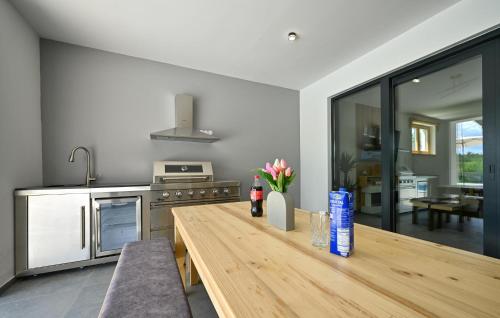Η κουζίνα ή μικρή κουζίνα στο Amazing Home In Maglenca With Sauna