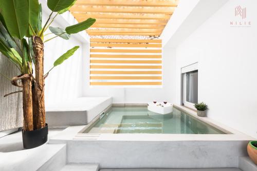 SkyHigh, Nilie Hospitality MGMT