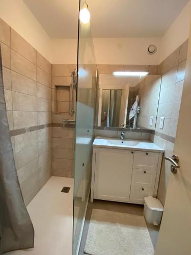 une salle de bain avec une douche, un lavabo et un miroir dans l'établissement Studio au cœur de la marina, à Cogolin