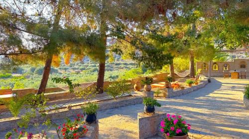 Stella's Traditional Inn