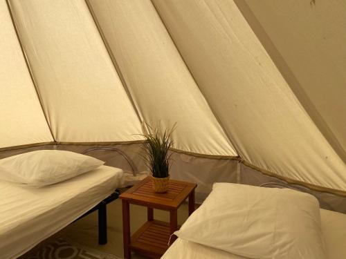 Φωτογραφία από το άλμπουμ του Camping Cap-Ouest σε Lanvéoc