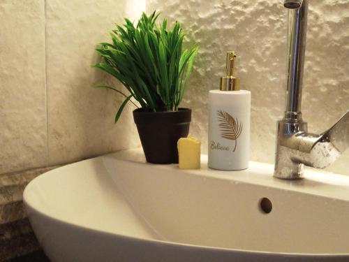 a bathroom sink with a plant sitting on top of it at Royal central home Cairo in Cairo