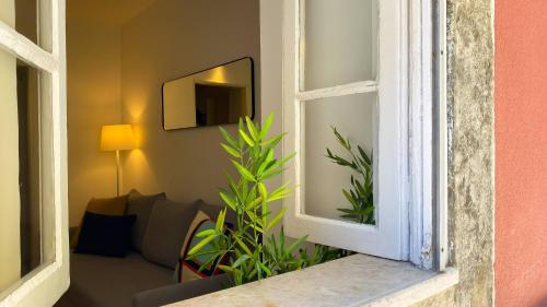 Downtown Charming Apartment