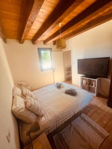 une chambre avec un lit et une télévision à écran plat dans l'établissement Vacation home with pool, à Saint-Martin-le-Redon